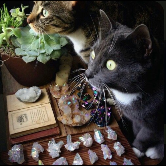 🍁Custom Curated Bohemian Dreamers Goth Mystery Collection box🍁Daring Goddess - Picture 7 of 17